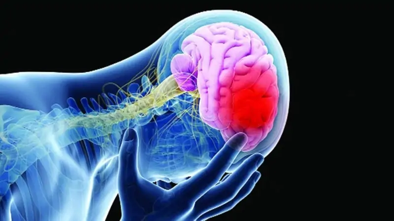 স্ট্রোকের ২ মাস আগেও শরীর দেয় এই ৫টি ইঙ্গিত! জানুন কী কী